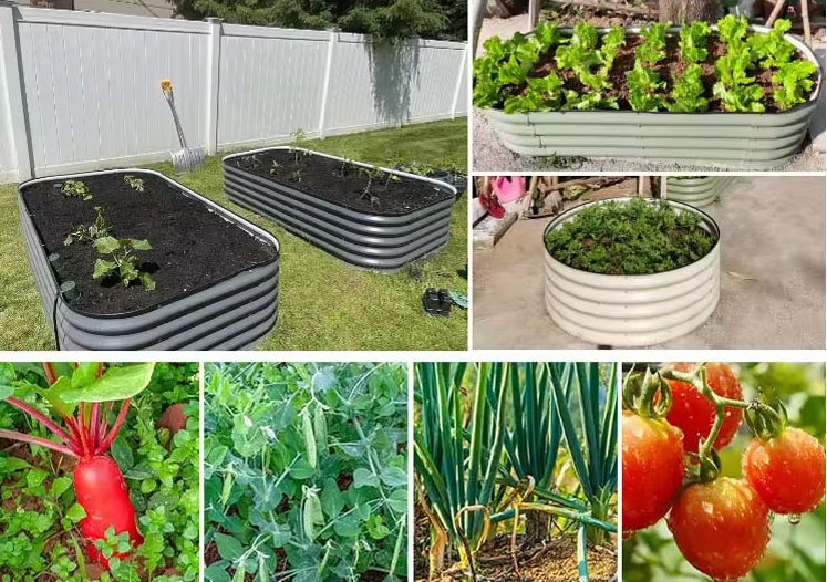 Modular raised garden bed (3in1) S dark gray