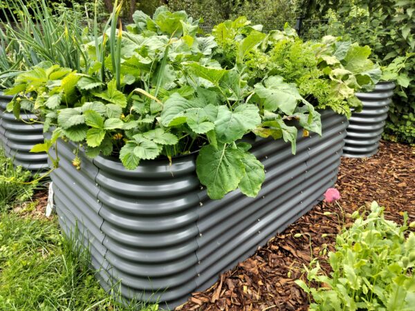 Metallist peenrakast GroVegz suurus L tumehall