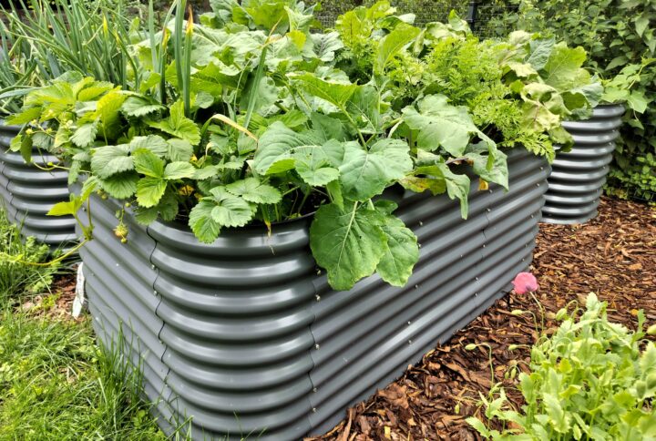 Metallist peenrakast GroVegz suurus L tumehall