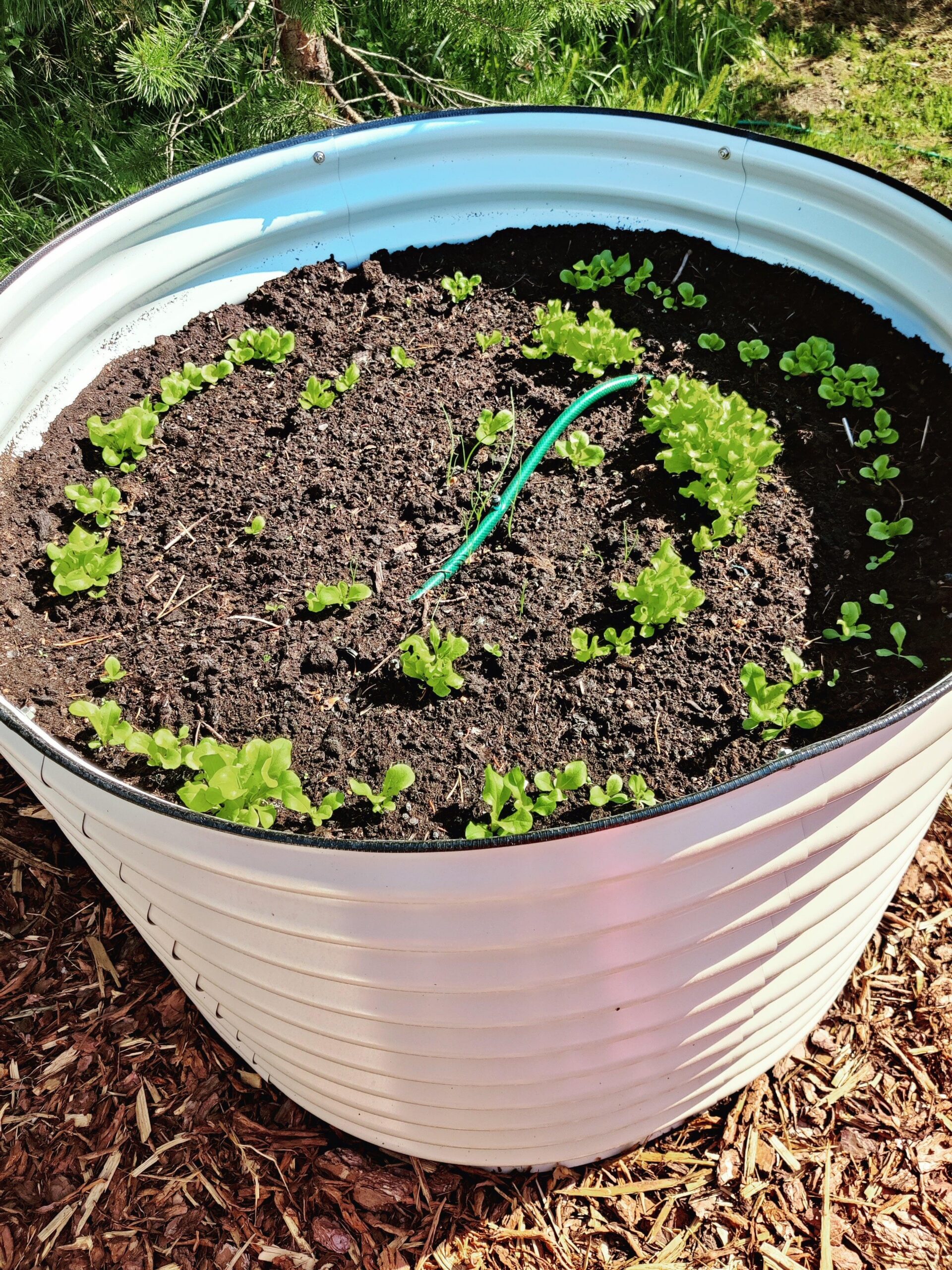 Ümmargune metallist peenrakast GroVegz suurus L valge