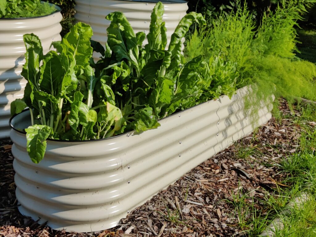 Metallist peenrakast GroVegz suurus M valge