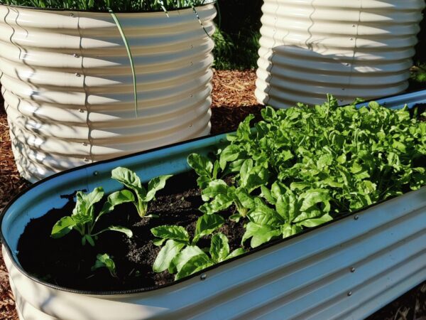 Metallist peenrakast GroVegz suurus M valge