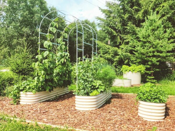 Metallist peenrakast GroVegz