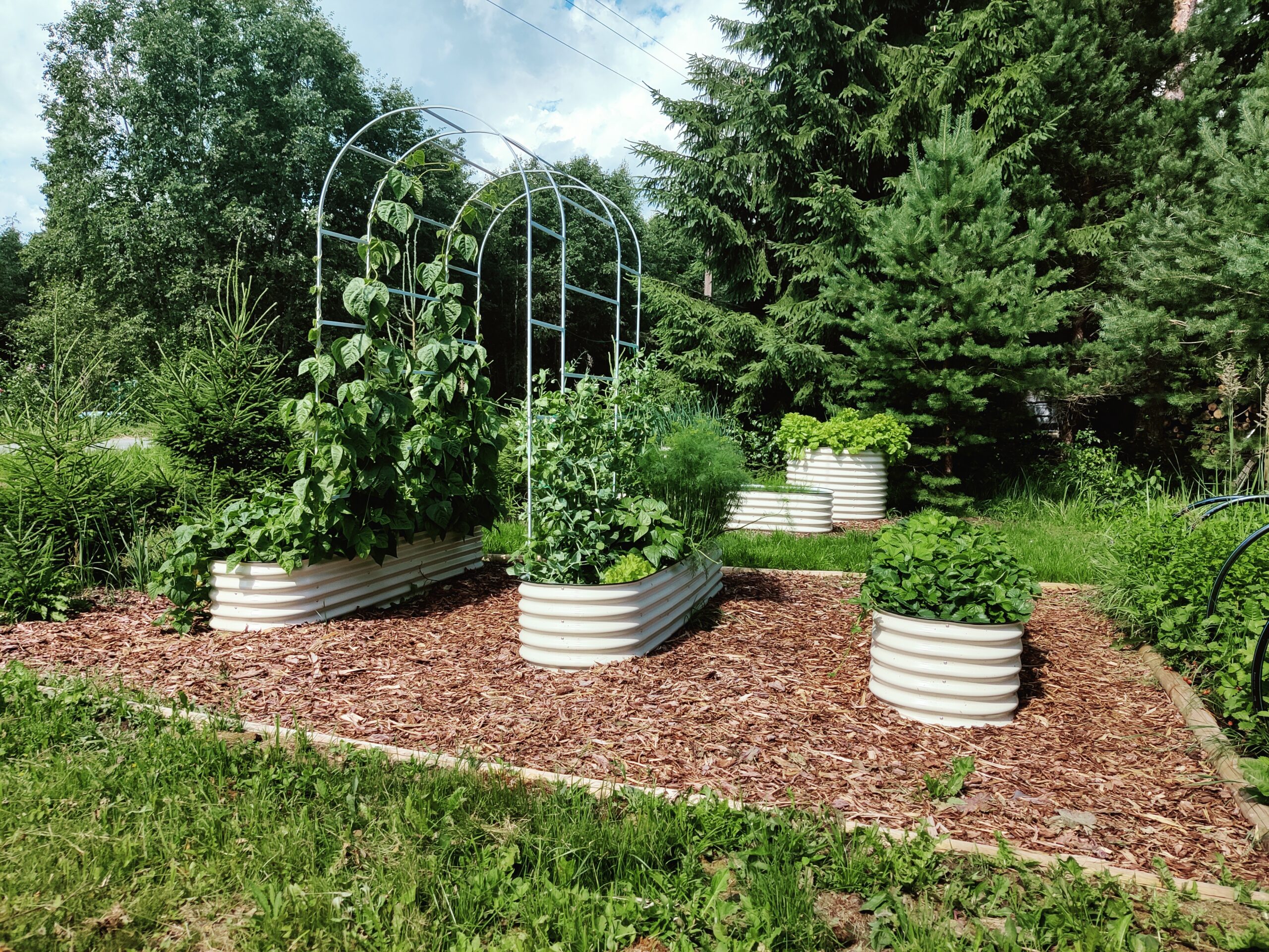 Metallist peenrakast GroVegz suurus M valge