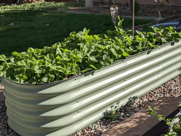 Metallist peenrakast GroVegz suurus M oliiviroheline