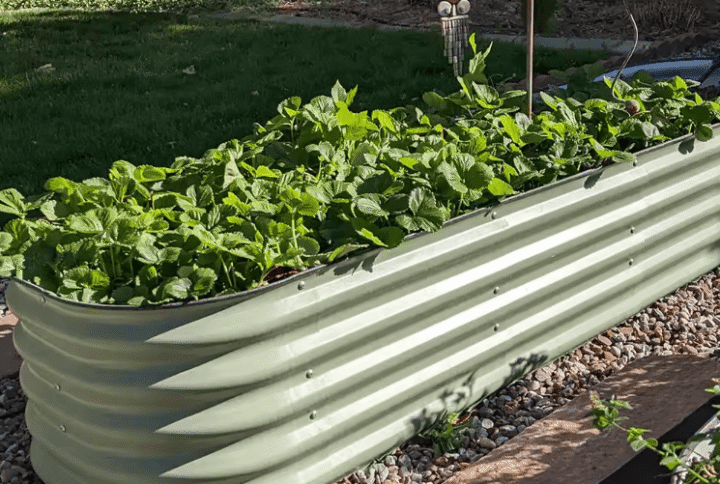 Metallist peenrakast GroVegz suurus M oliiviroheline