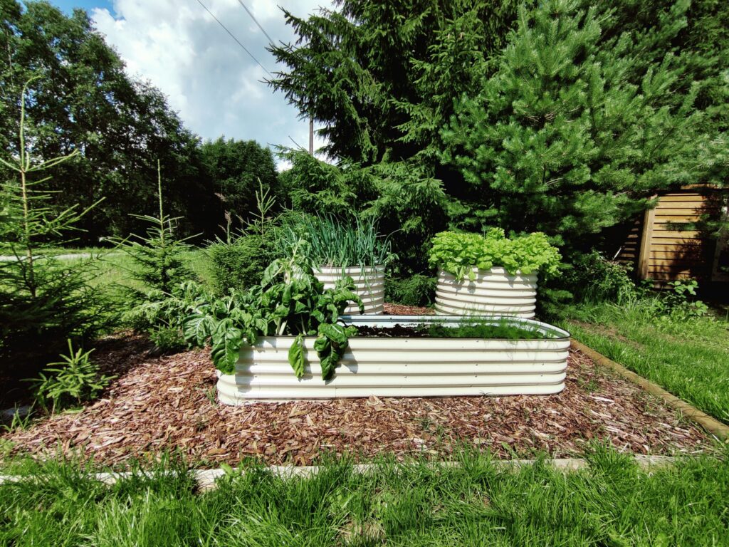 Metallist peenrakast GroVegz suurus M valge