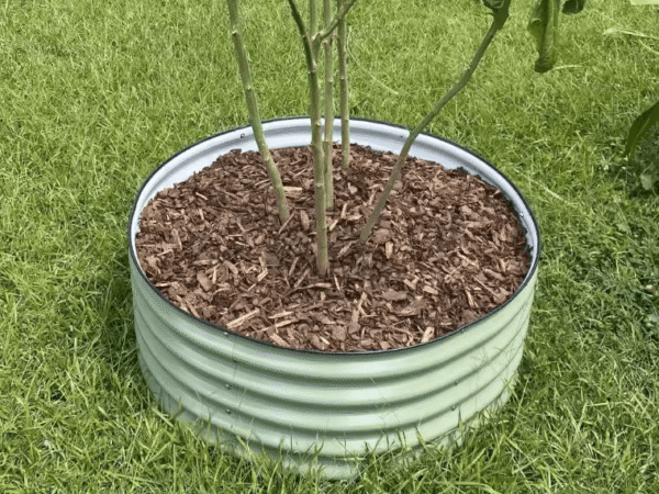 Ümmargune metallist peenrakast GroVegz suurus M oliiviroheline