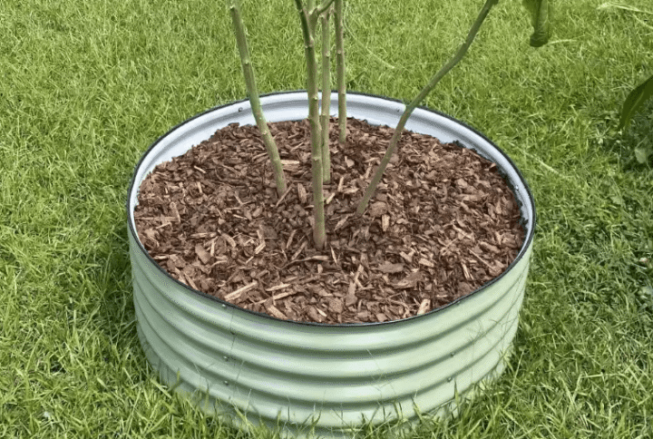 Ümmargune metallist peenrakast GroVegz suurus M oliiviroheline