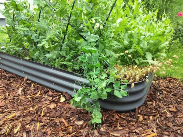 Metallist peenrakast GroVegz suurus S tumehall