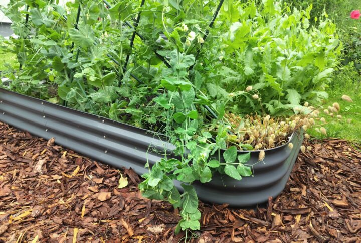 Metallist peenrakast GroVegz suurus S tumehall