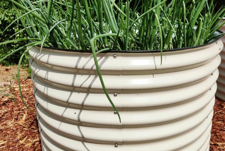 Ümmargune metallist peenrakast GroVegz suurus L valge