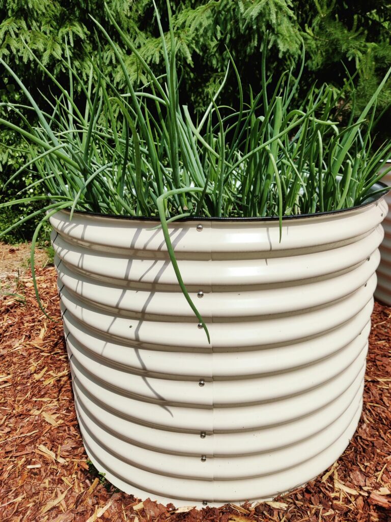 Ümmargune metallist peenrakast GroVegz suurus L valge