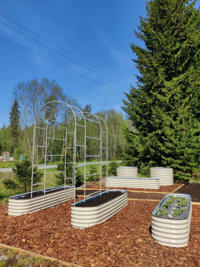 Metallist peenrakastid GroVegz suurus M ja suurus L valge, peenrakastide taimekaar XL