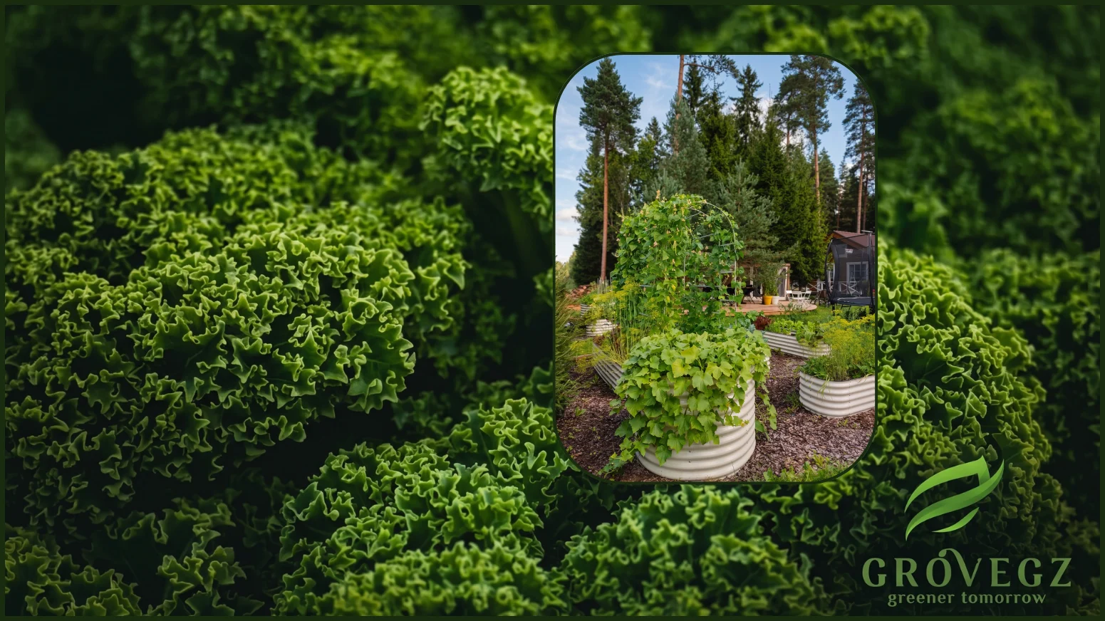 Image Slider